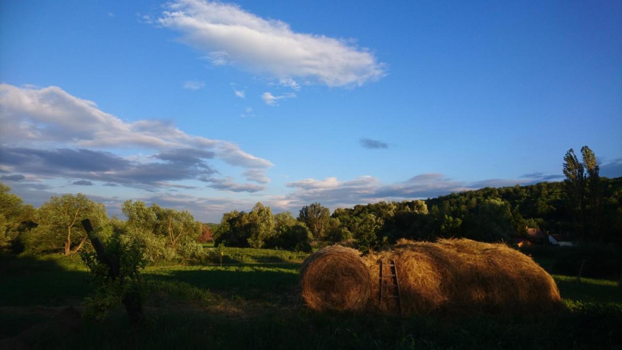 Szellős Rét Apartman Balvanyos Exterior foto